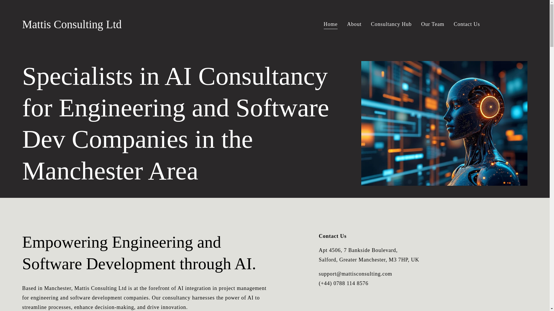 website screenshot of https://scalemattisconsulting.com/