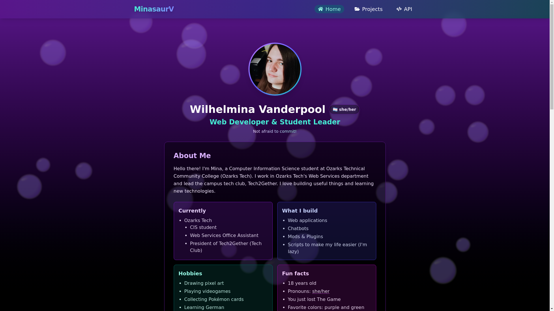 website screenshot of https://minasaur.com/