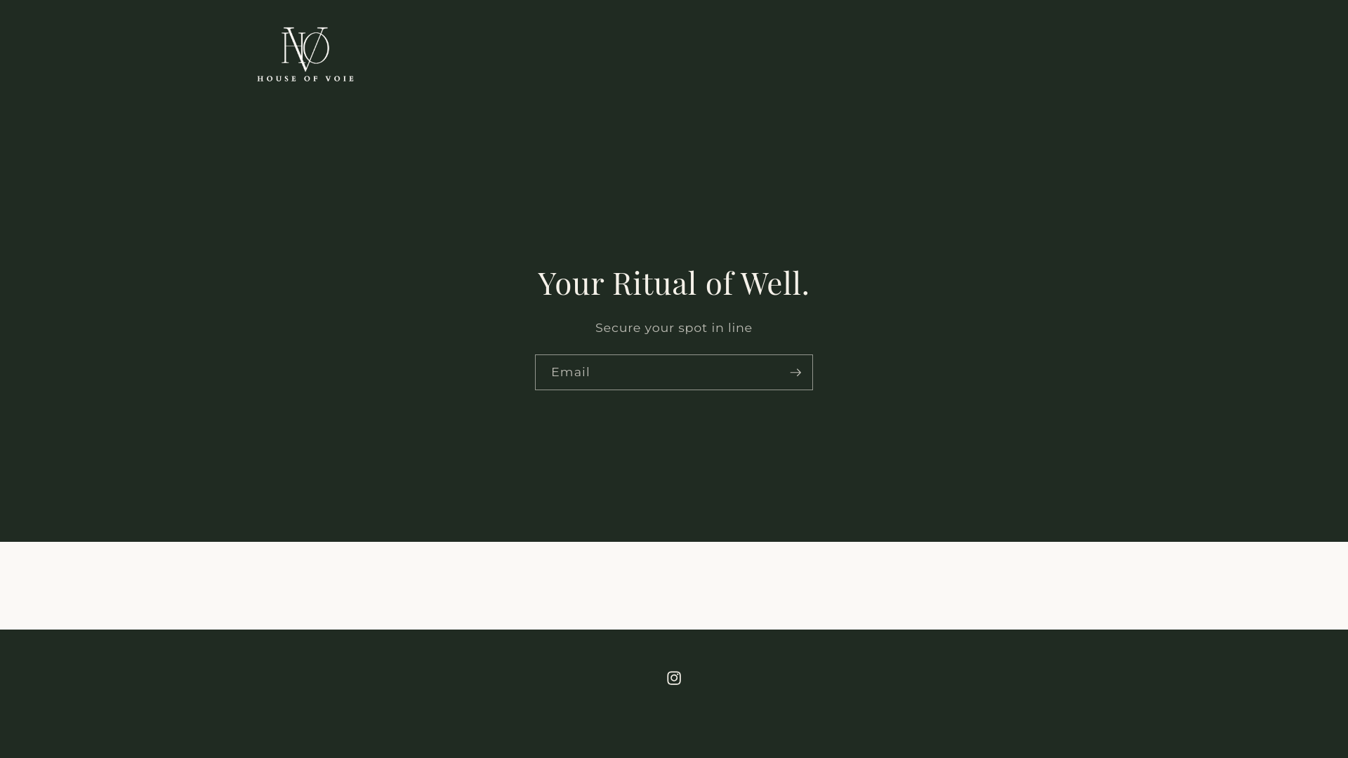 website screenshot of https://voielabs.com/