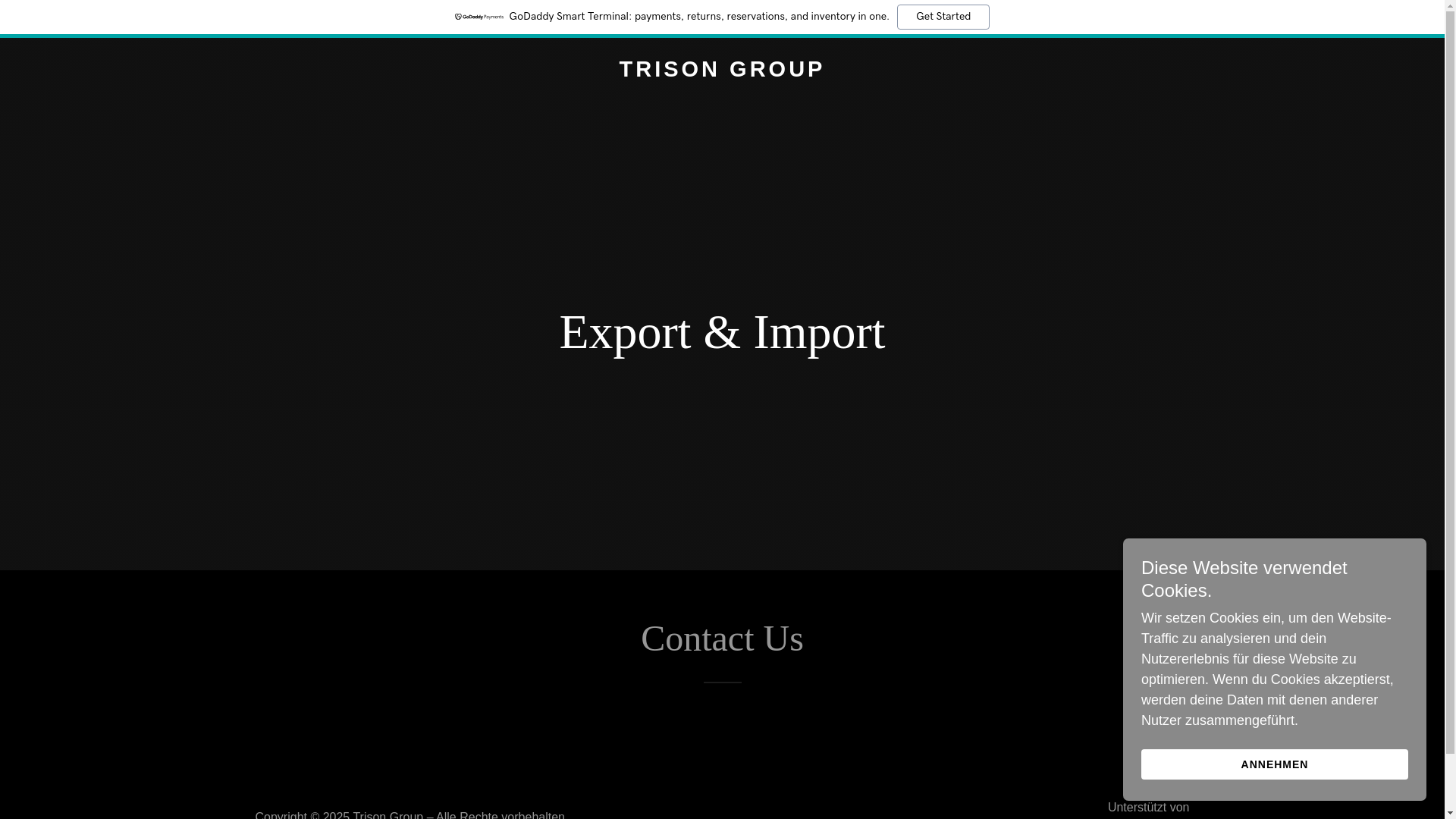 website screenshot of https://trisongrp.com/