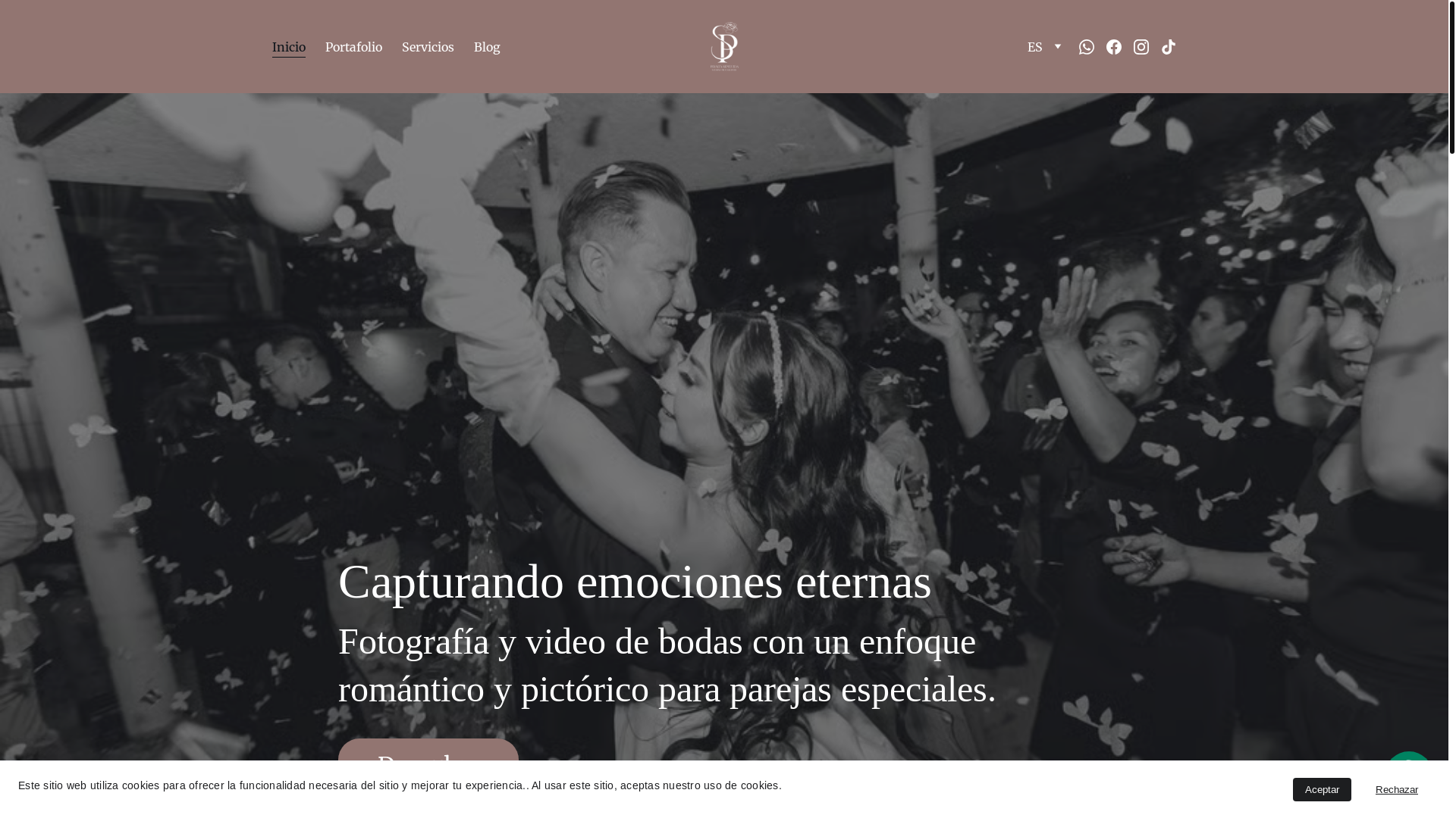 website screenshot of https://peraltasepulveda.com/