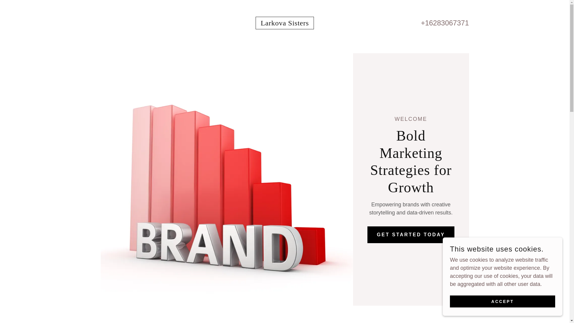 website screenshot of https://larkovamarketing.com/