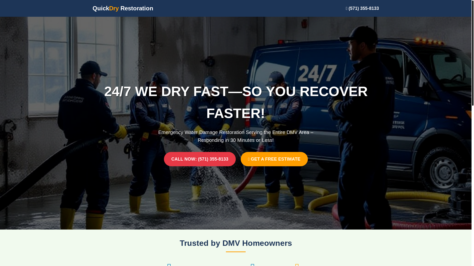 website screenshot of https://quickdrydmv.com/