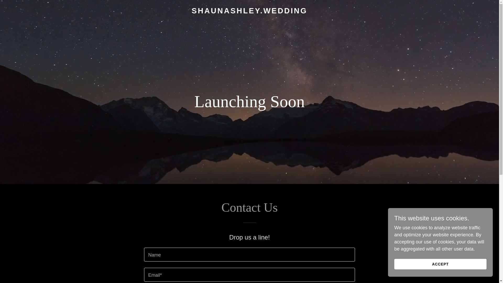 website screenshot of https://shaunashley.wedding/