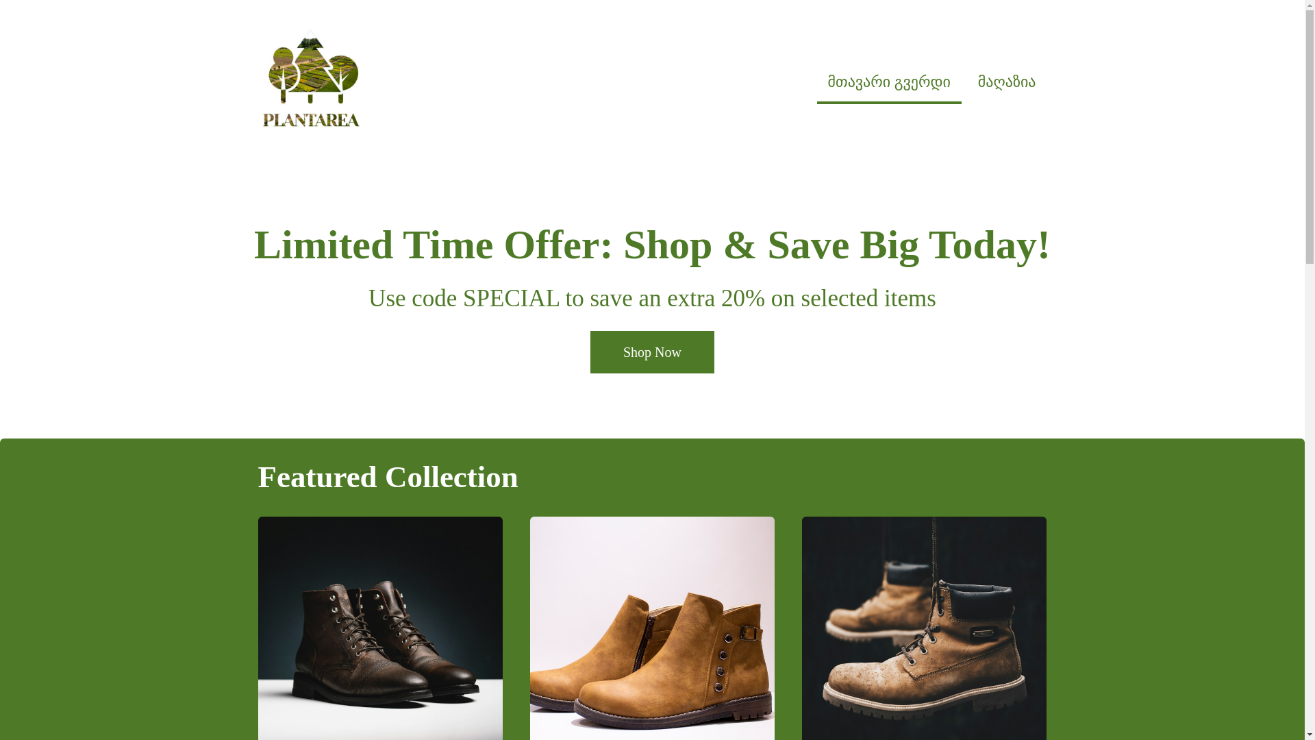 website screenshot of https://mcenarea.com/