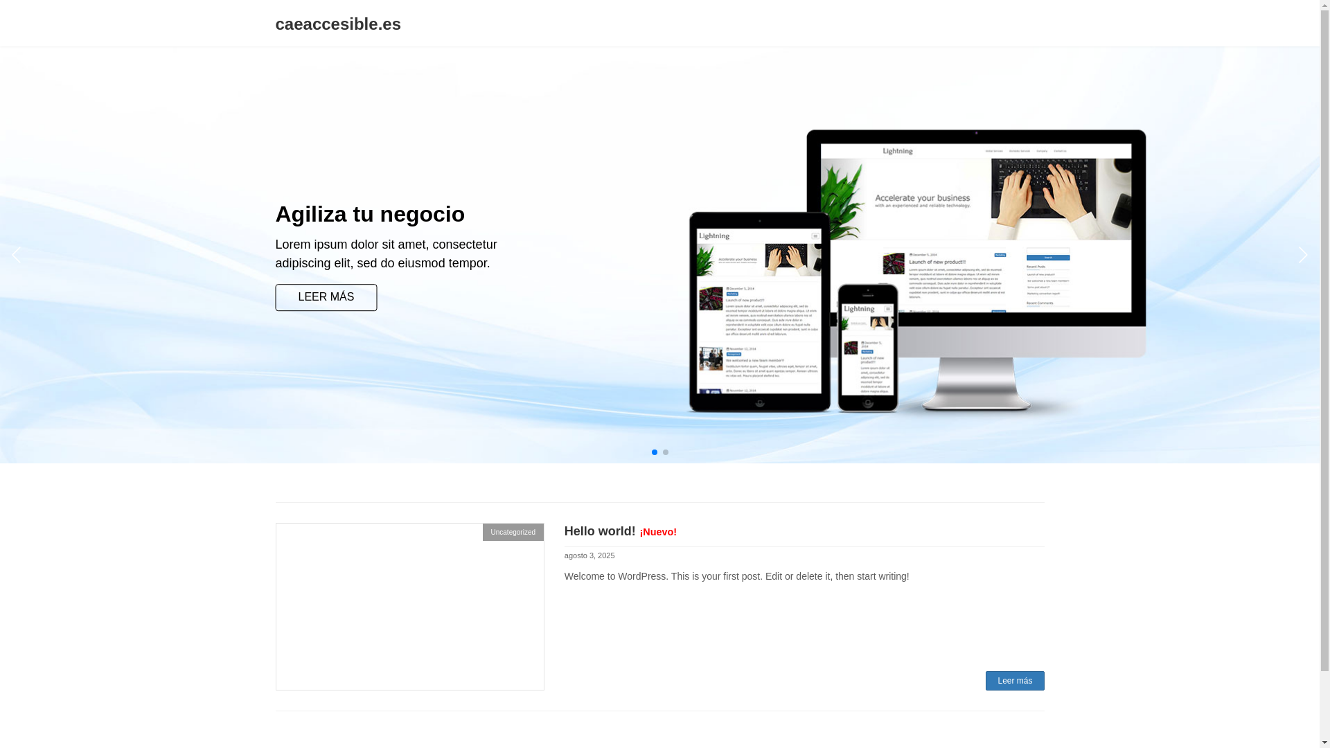 website screenshot of https://caeaccesible.es/