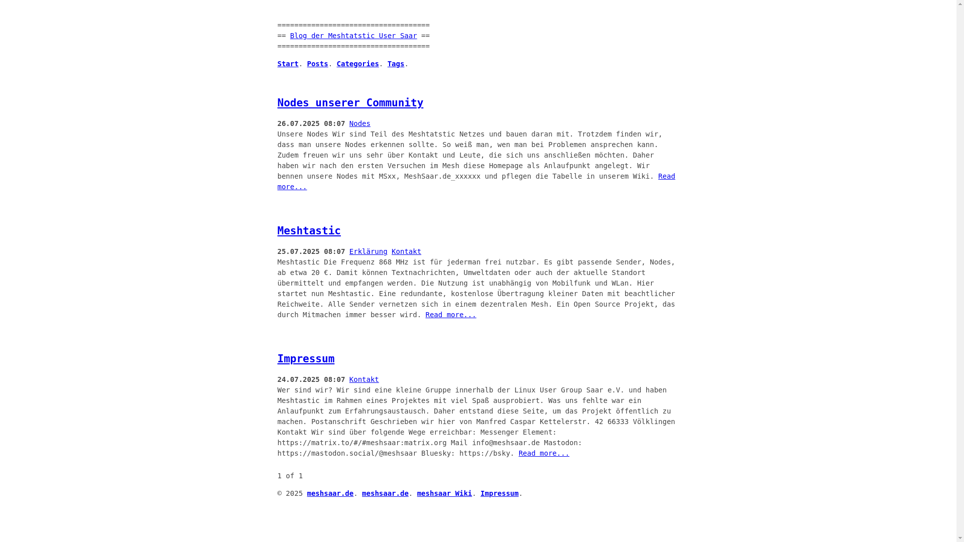 website screenshot of https://meshsaar.de/
