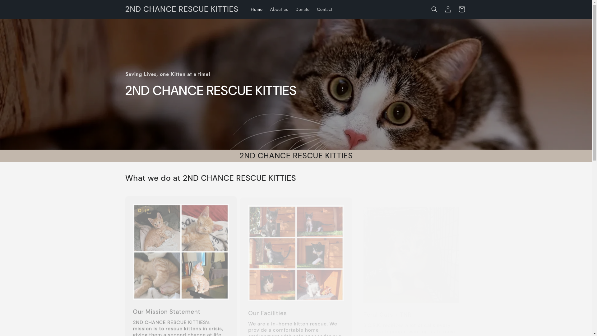 website screenshot of https://secondchancerescuekitties.online/