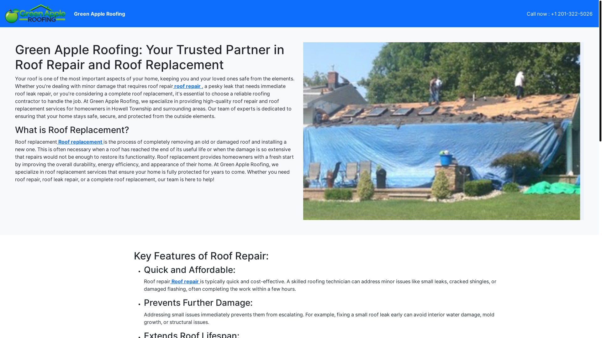 website screenshot of https://yourtrustedpartnerinroofrepairandroofreplacement.pages.dev/