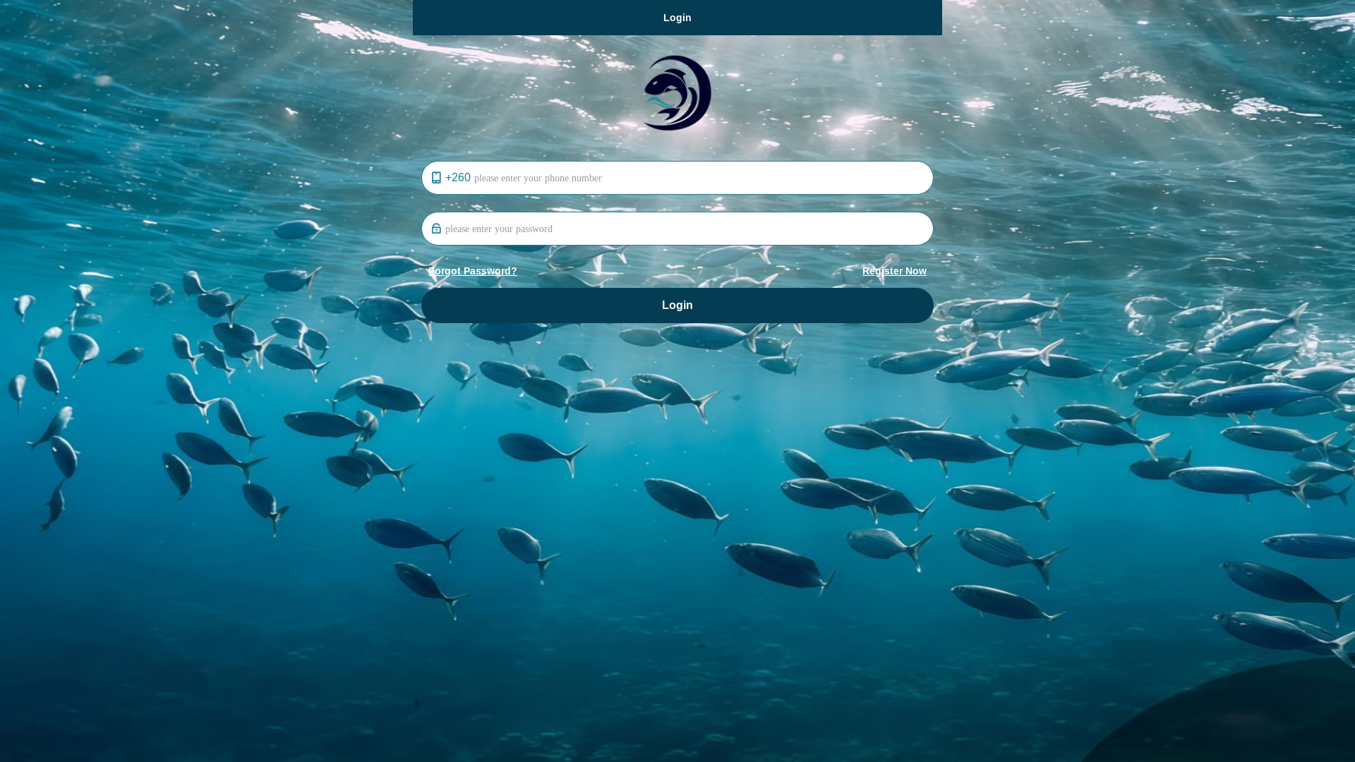 website screenshot of https://faifeocean.com/