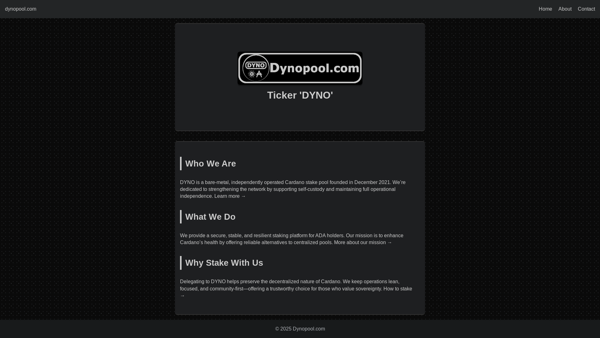 website screenshot of https://dynopool-com.pages.dev/