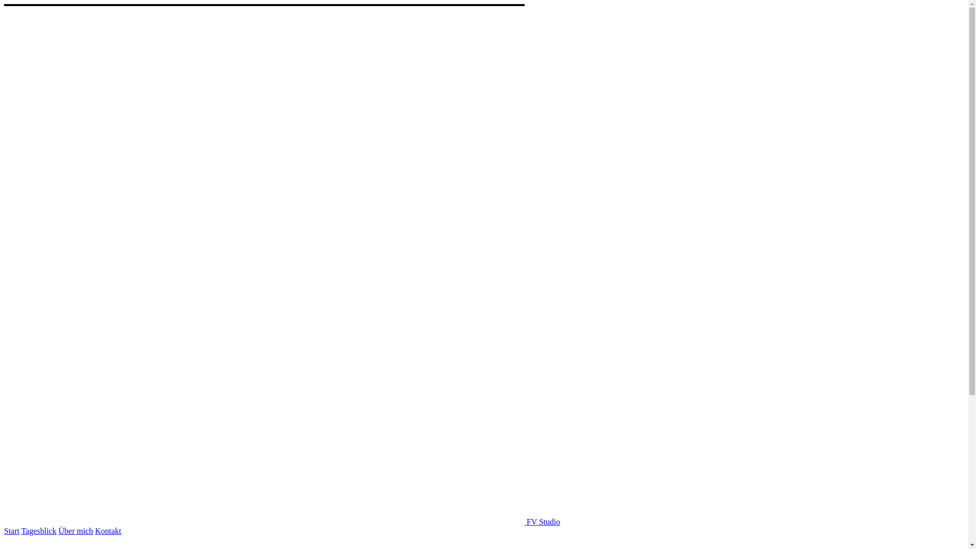 website screenshot of https://fvstudio.de/