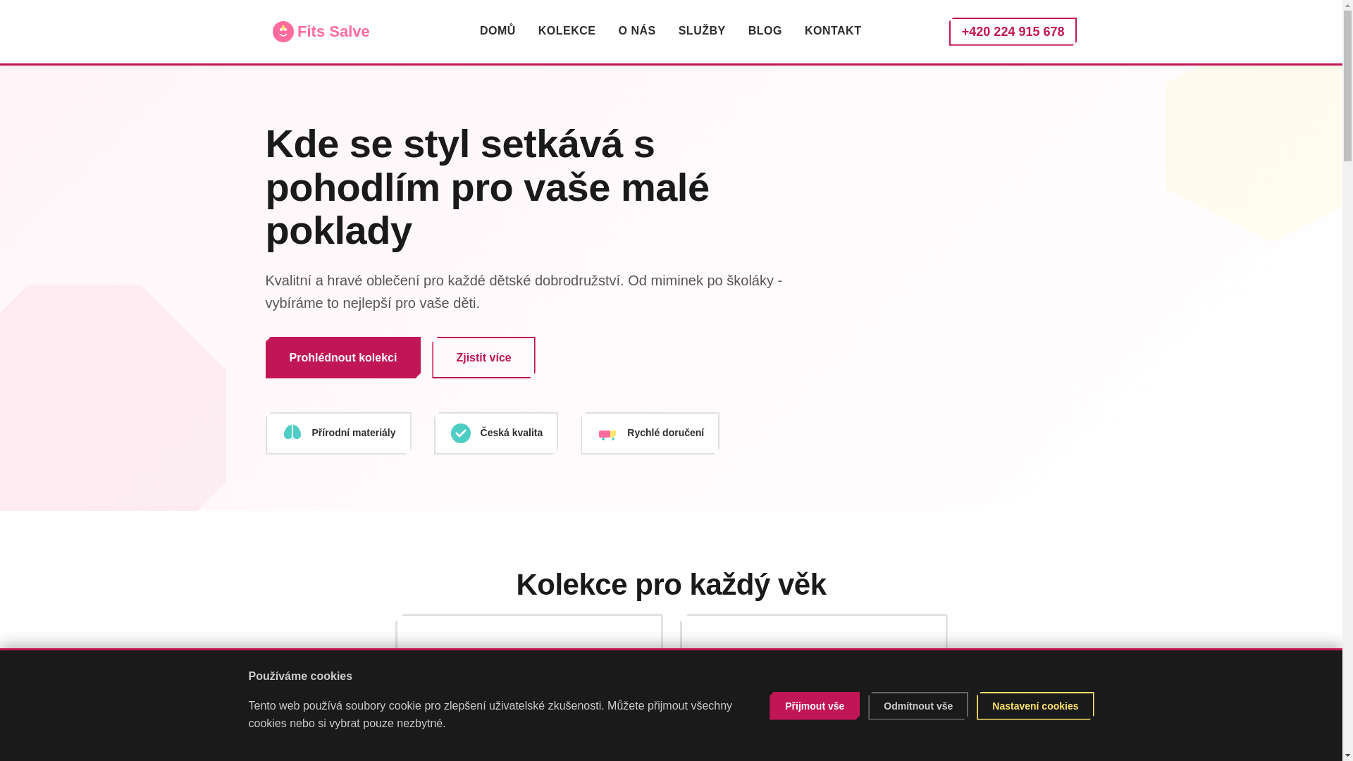 website screenshot of https://fitssalve.center/