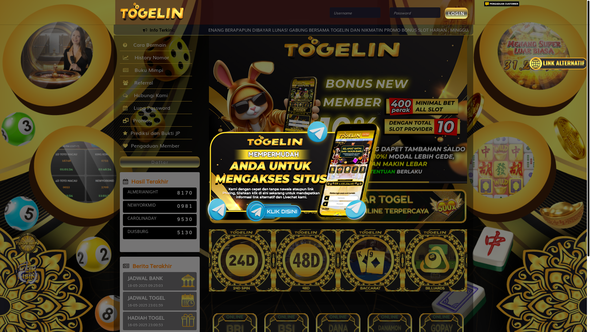 website screenshot of https://janjitgin.xyz/