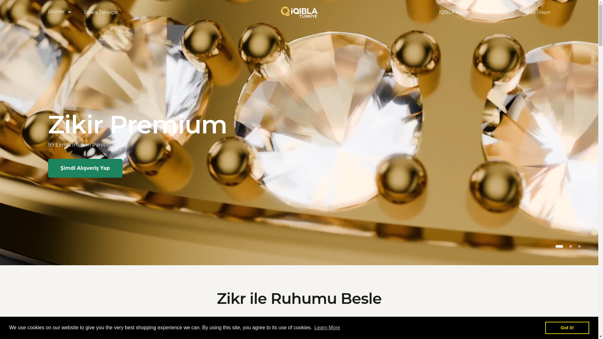 website screenshot of https://iqiblaturkiye.com/