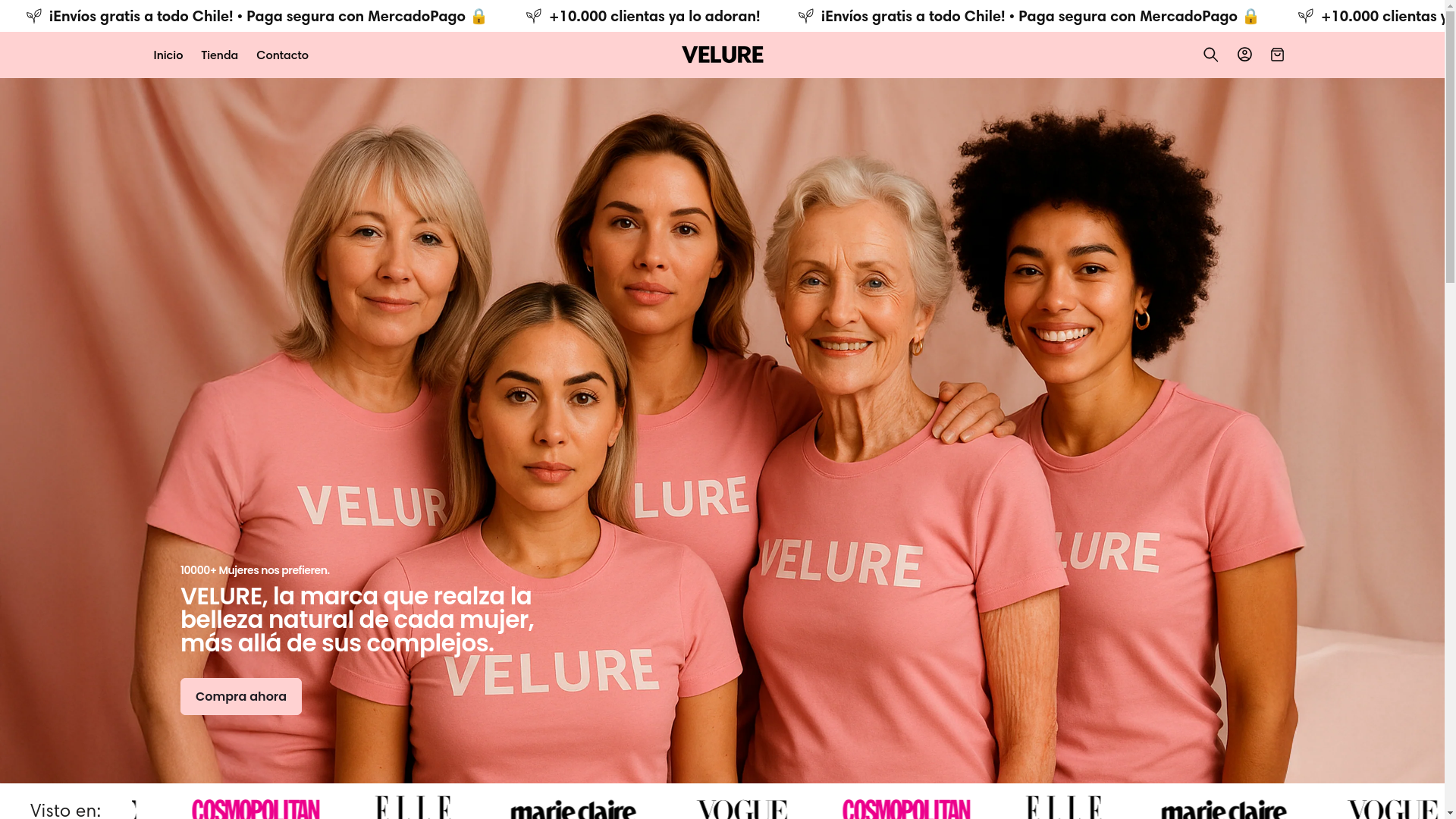 website screenshot of https://velure-beauty.cl/