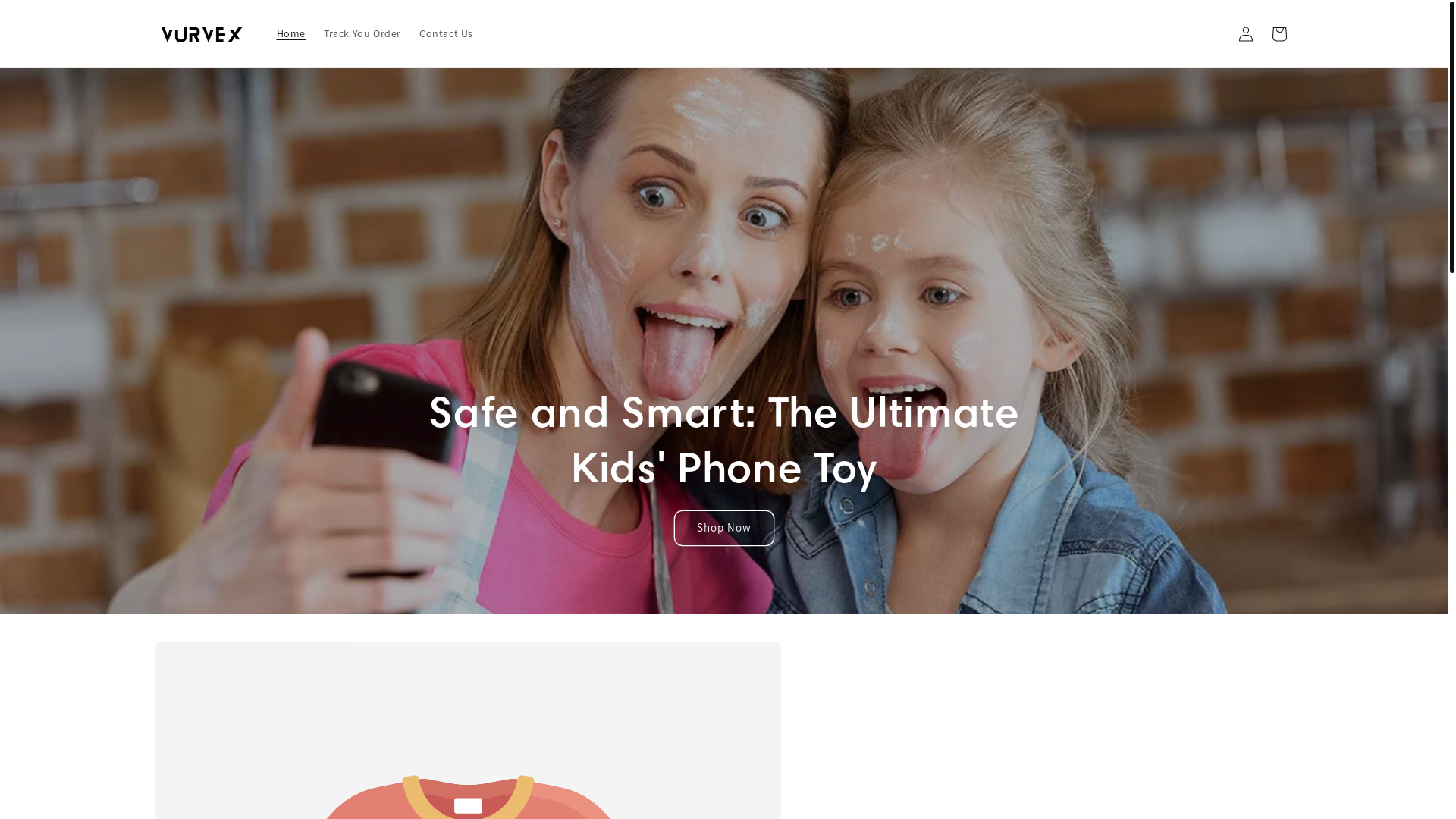 website screenshot of https://thezfoldcases.com/