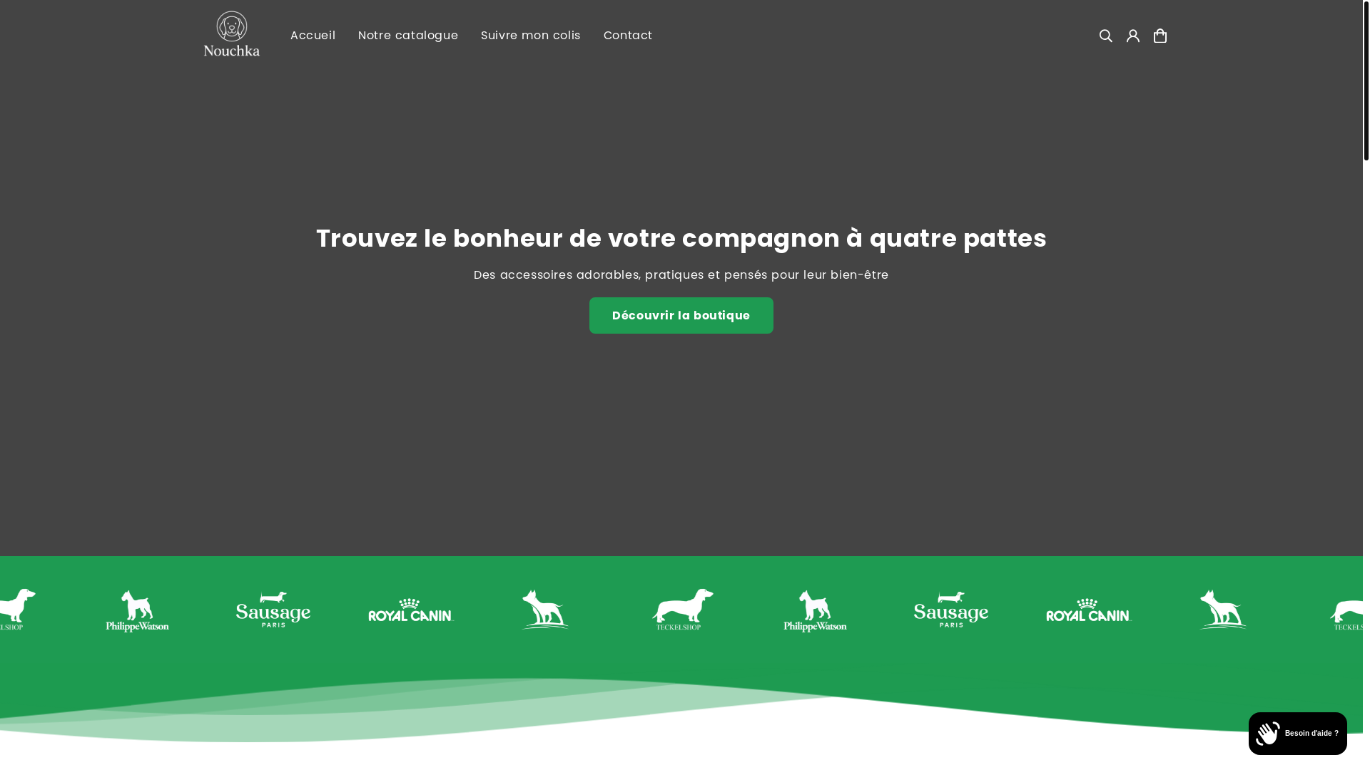 website screenshot of https://nouchkashop.com/