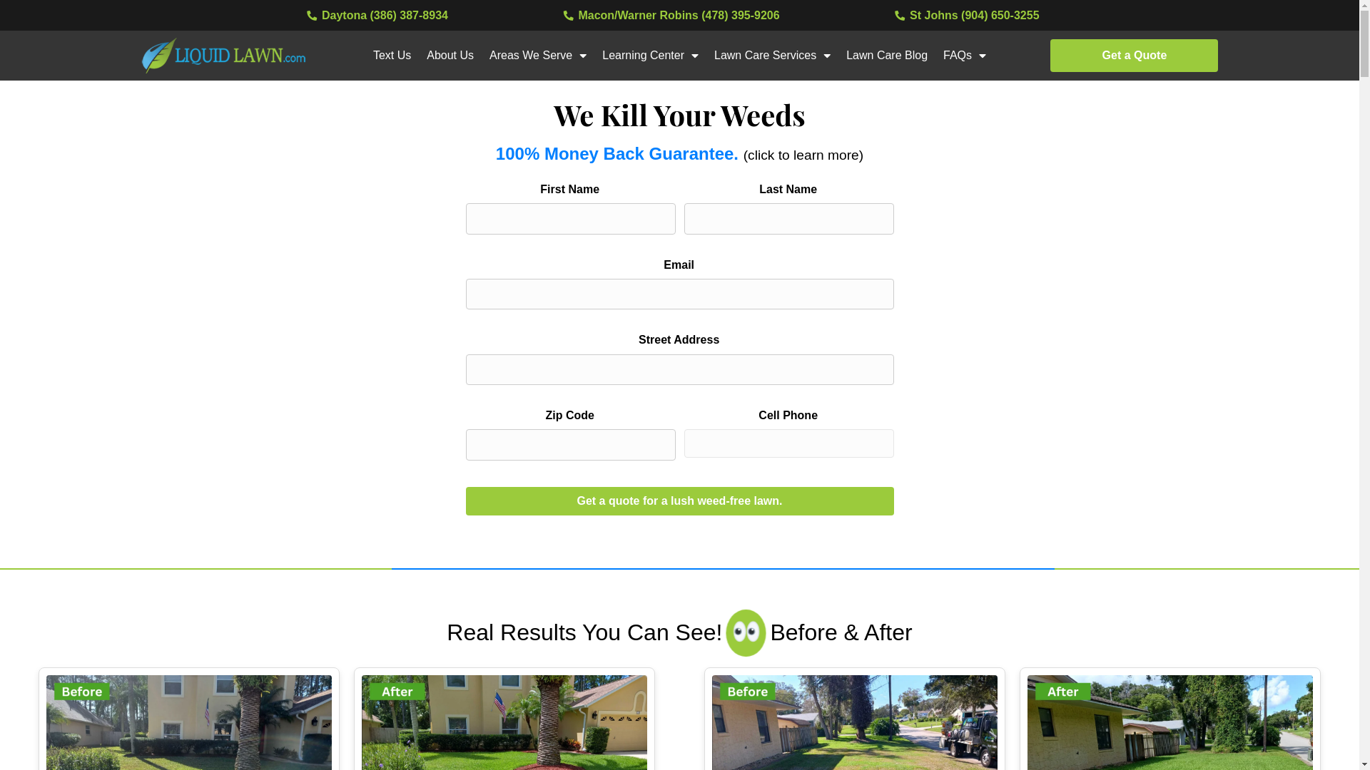 website screenshot of https://successliquidlawn.com/