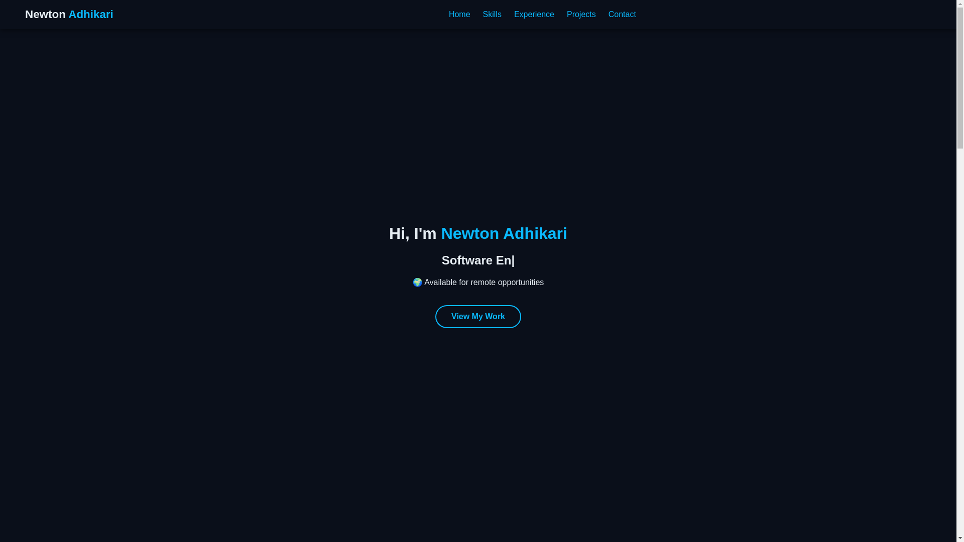 website screenshot of https://newtonadhikari.com.np/