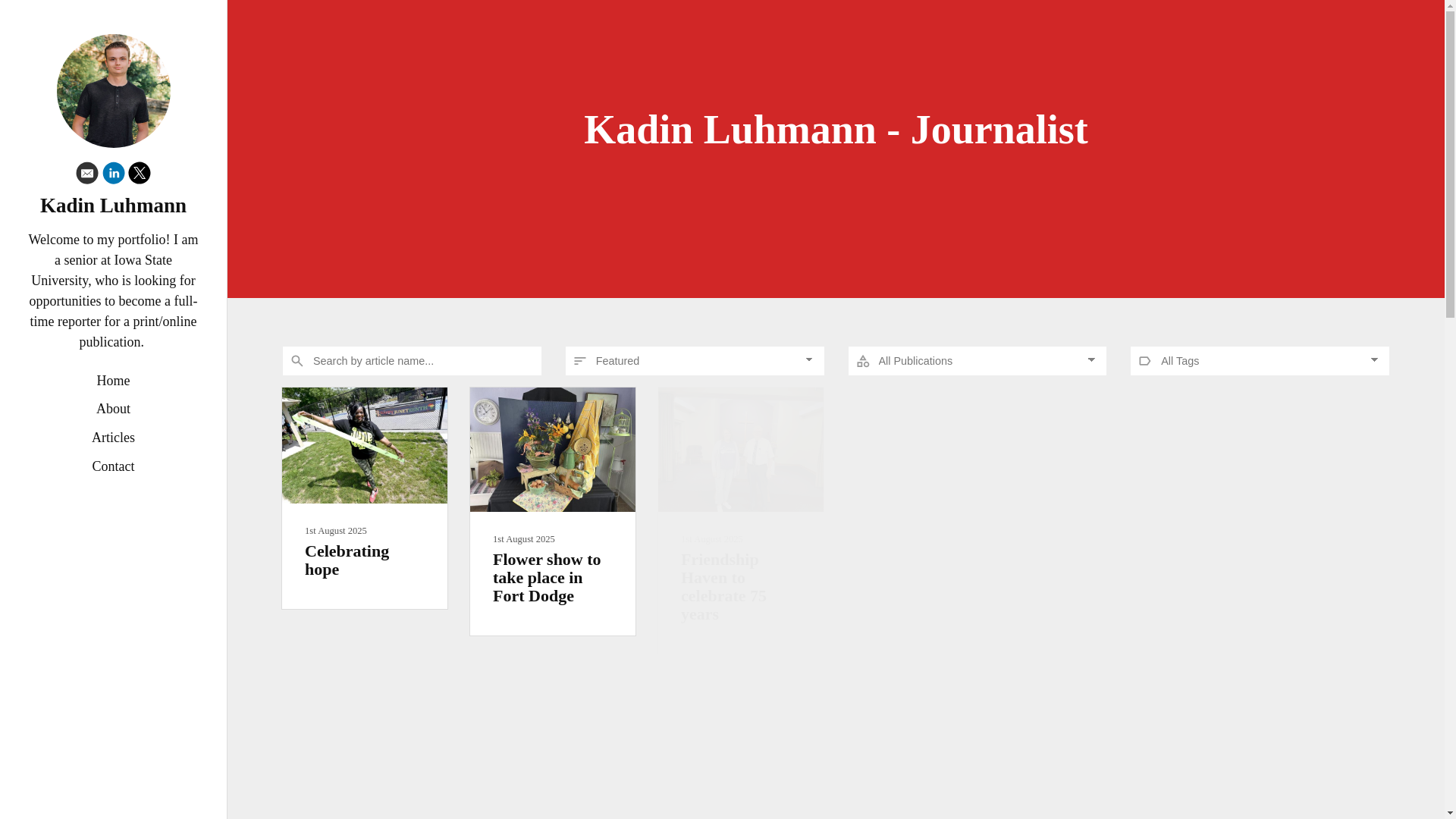 website screenshot of https://kadinluhmannjournalism.com/