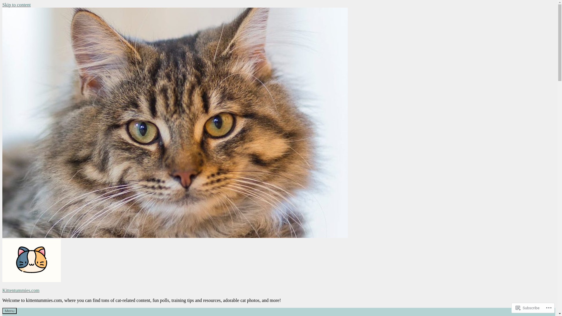 website screenshot of https://allforthecats.com/