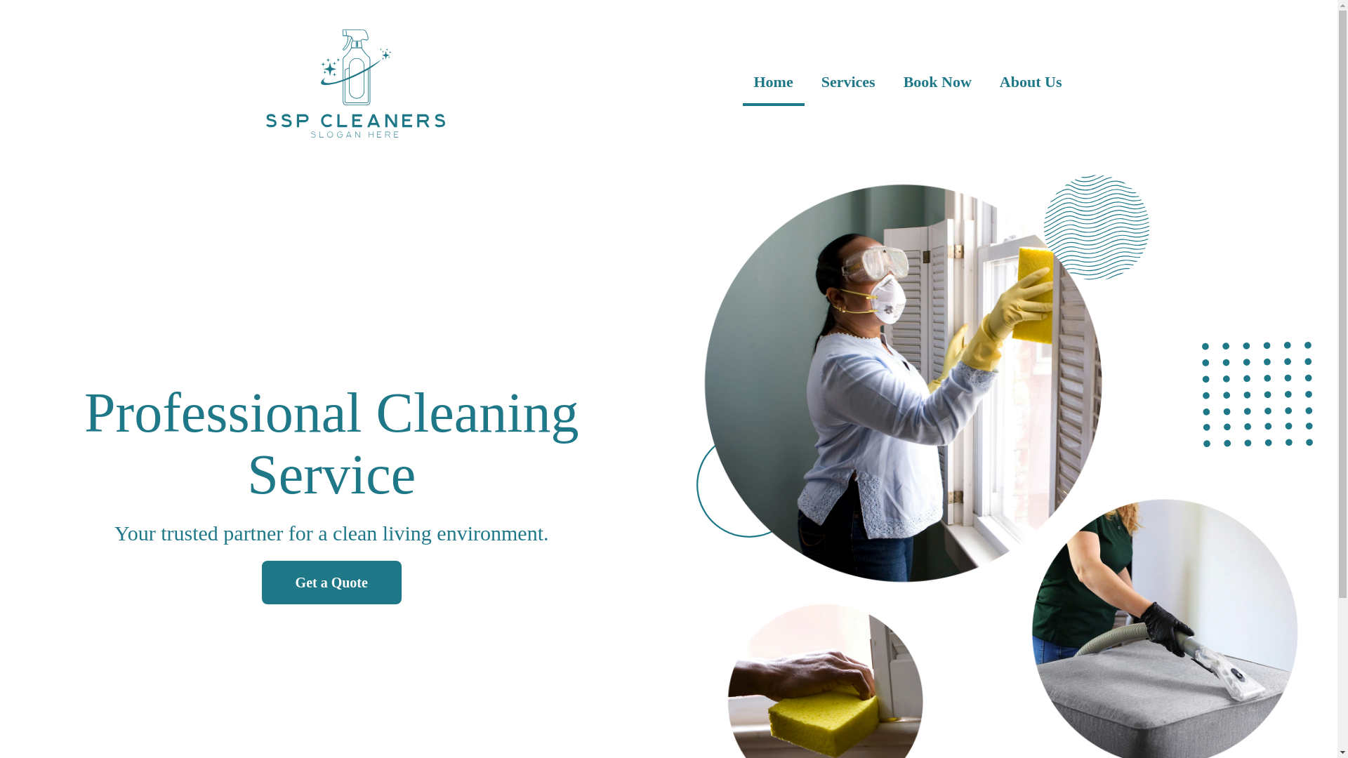 website screenshot of https://sspcleaners.com/