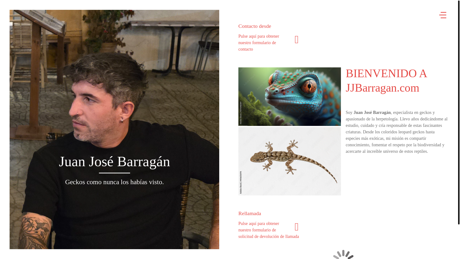 website screenshot of https://stargeckos.es/