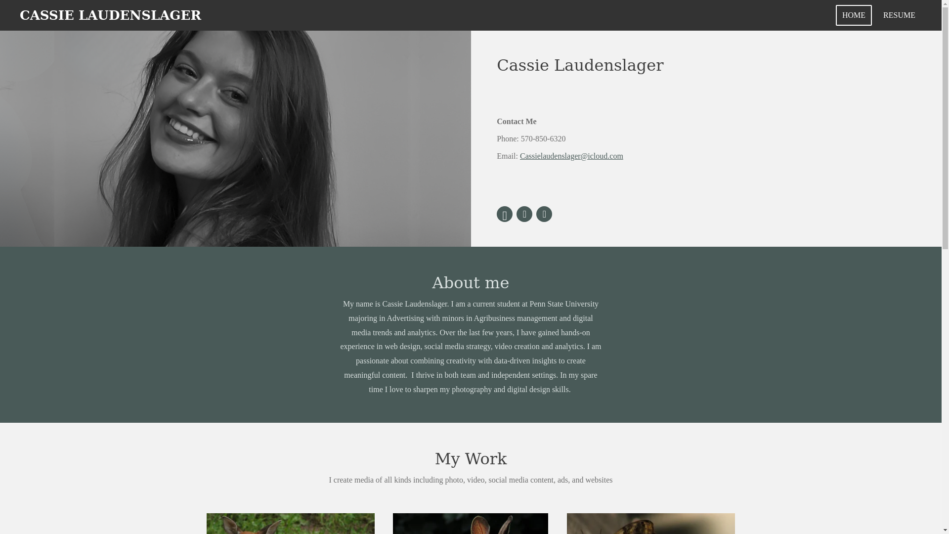 website screenshot of https://cassielaudenslager.com/