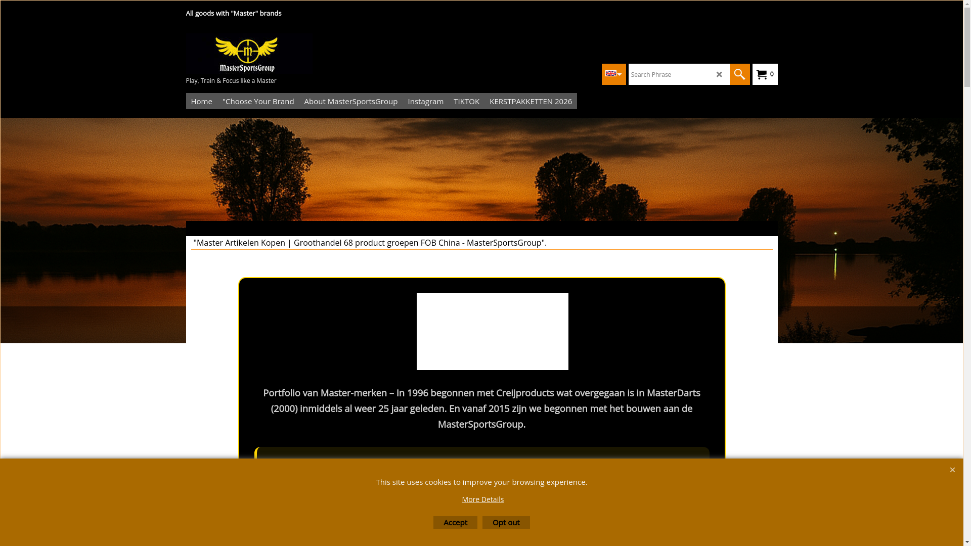 website screenshot of https://master-events.nl/