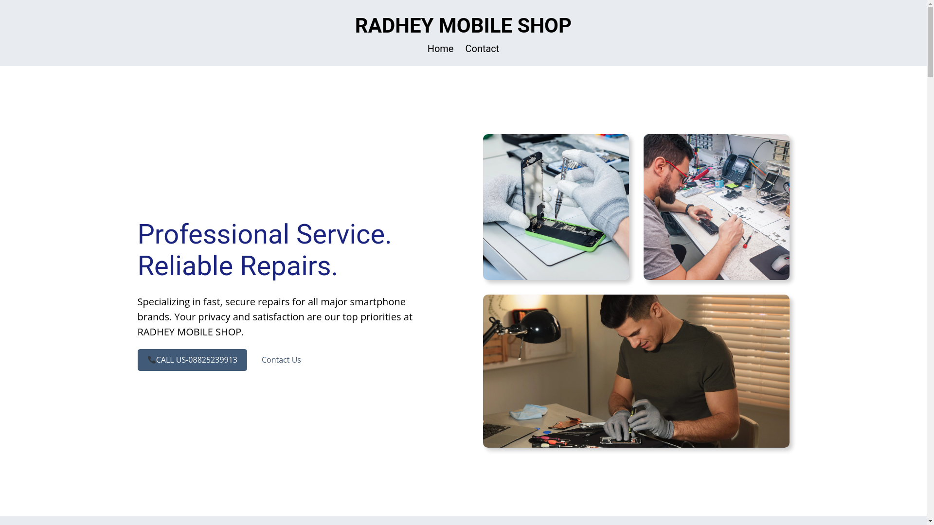 website screenshot of https://prakrithistorehub.co.in/