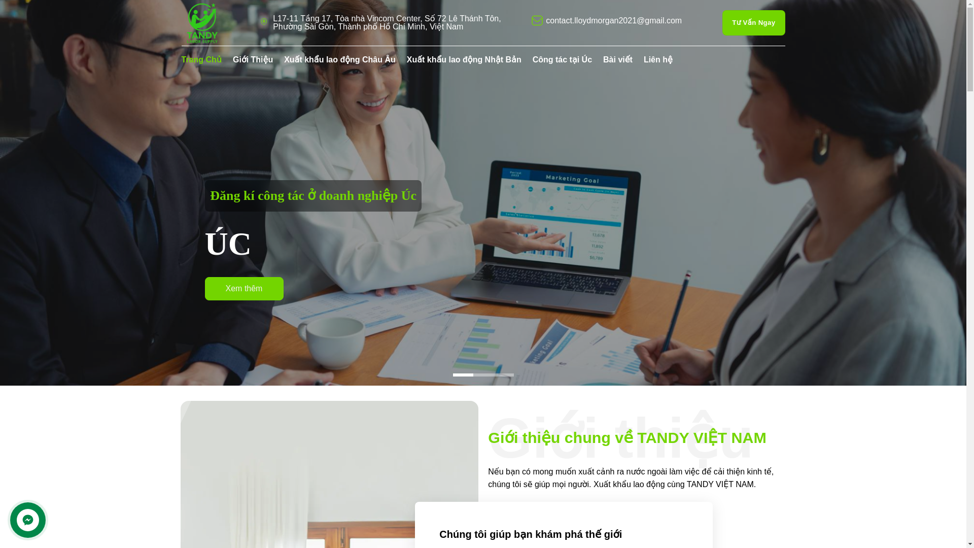 website screenshot of https://tandy2021.com/