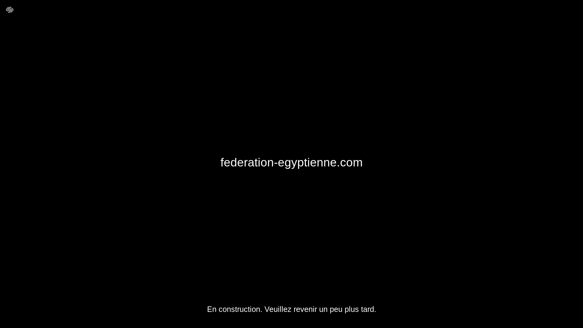 website screenshot of https://federation-egyptienne.com/