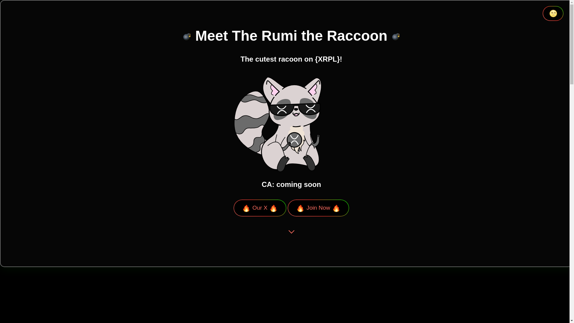 website screenshot of https://rumitheraccoon.club/