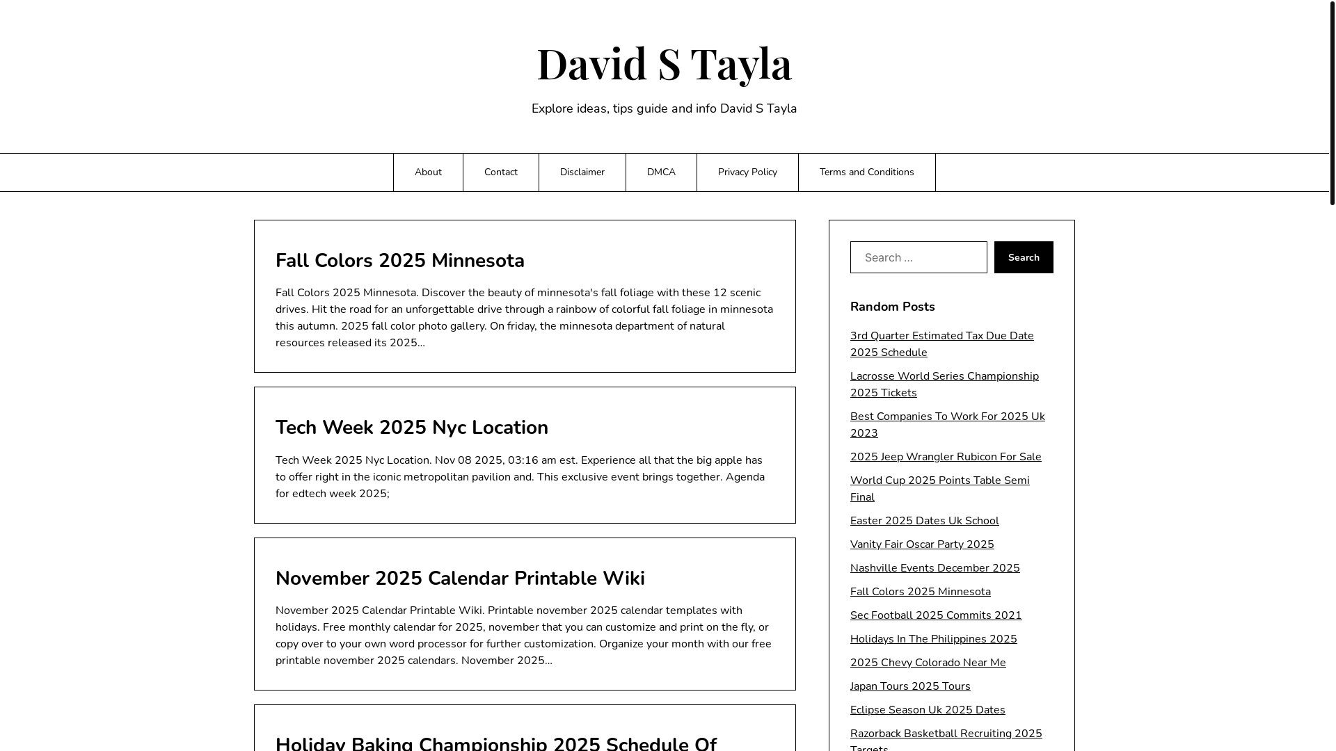 website screenshot of https://davidstayla.pages.dev/