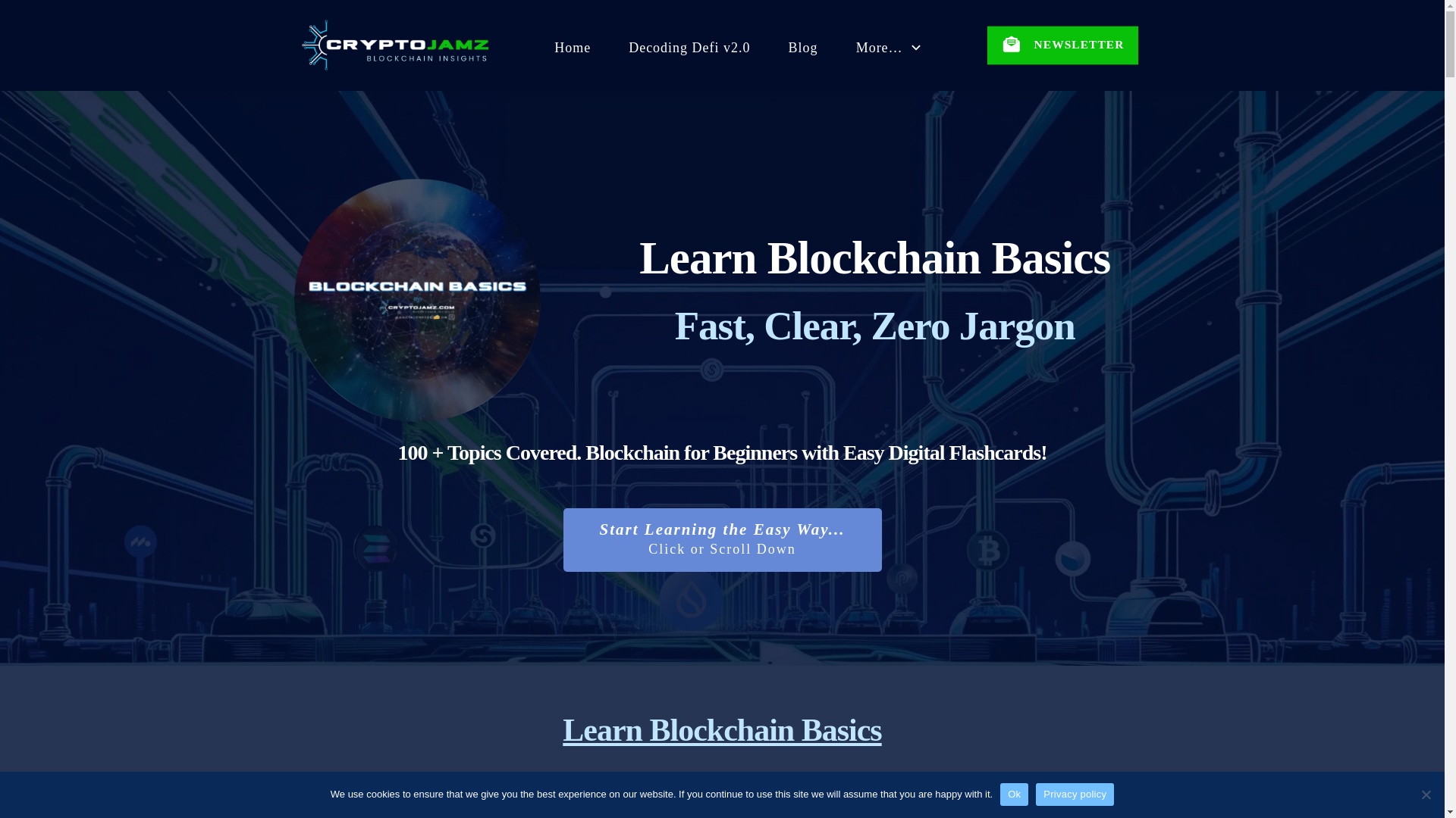 website screenshot of https://learnblockchainbasics.xyz/