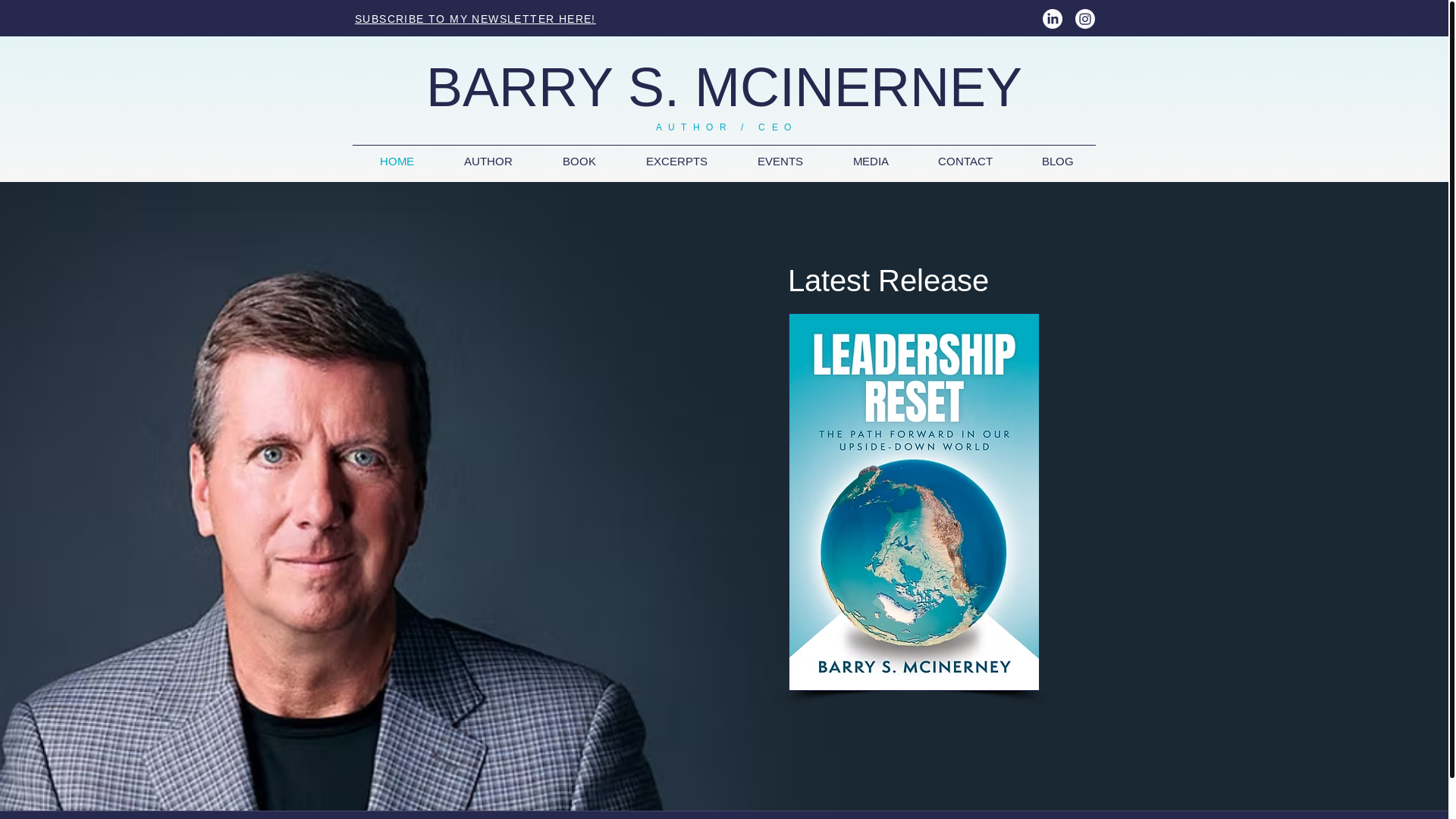website screenshot of https://barrysmcinerney.net/