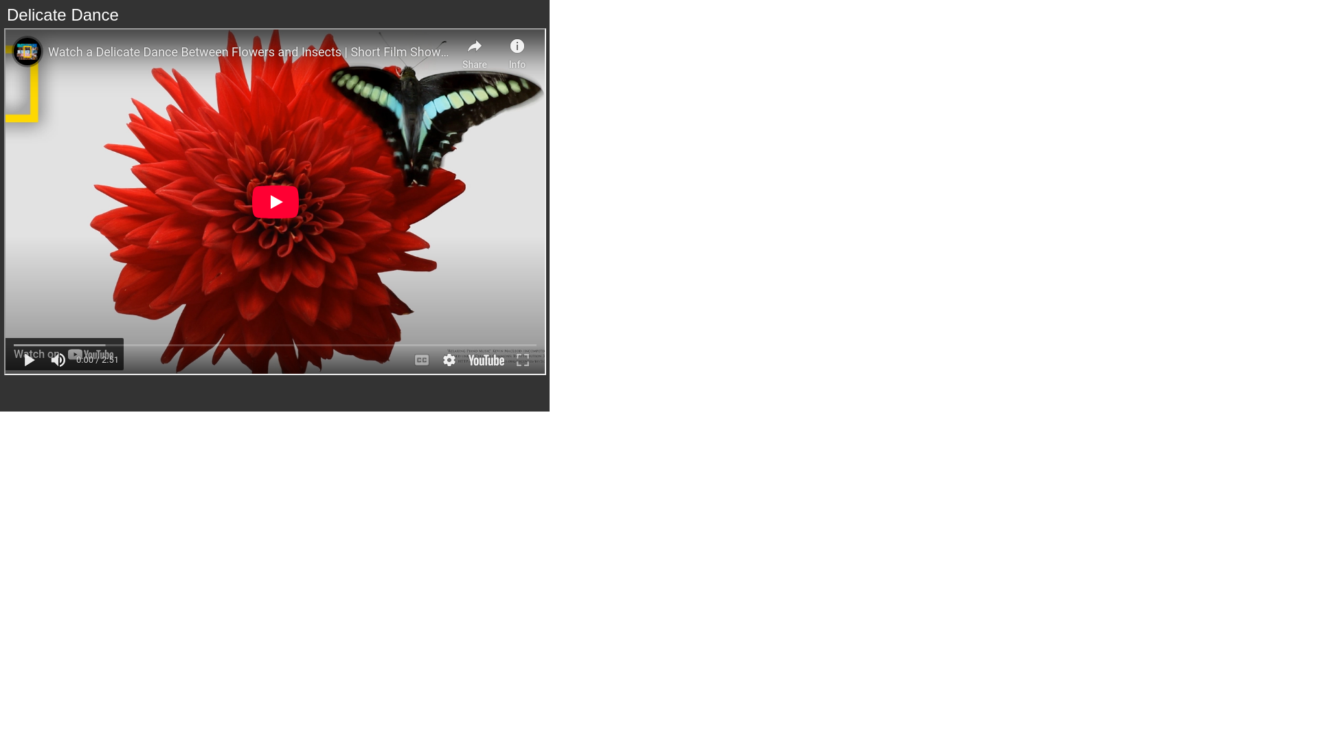 website screenshot of https://1a4a210d-2a1a-52ac-b661-002a6cc7575f-qa.pages.dev/