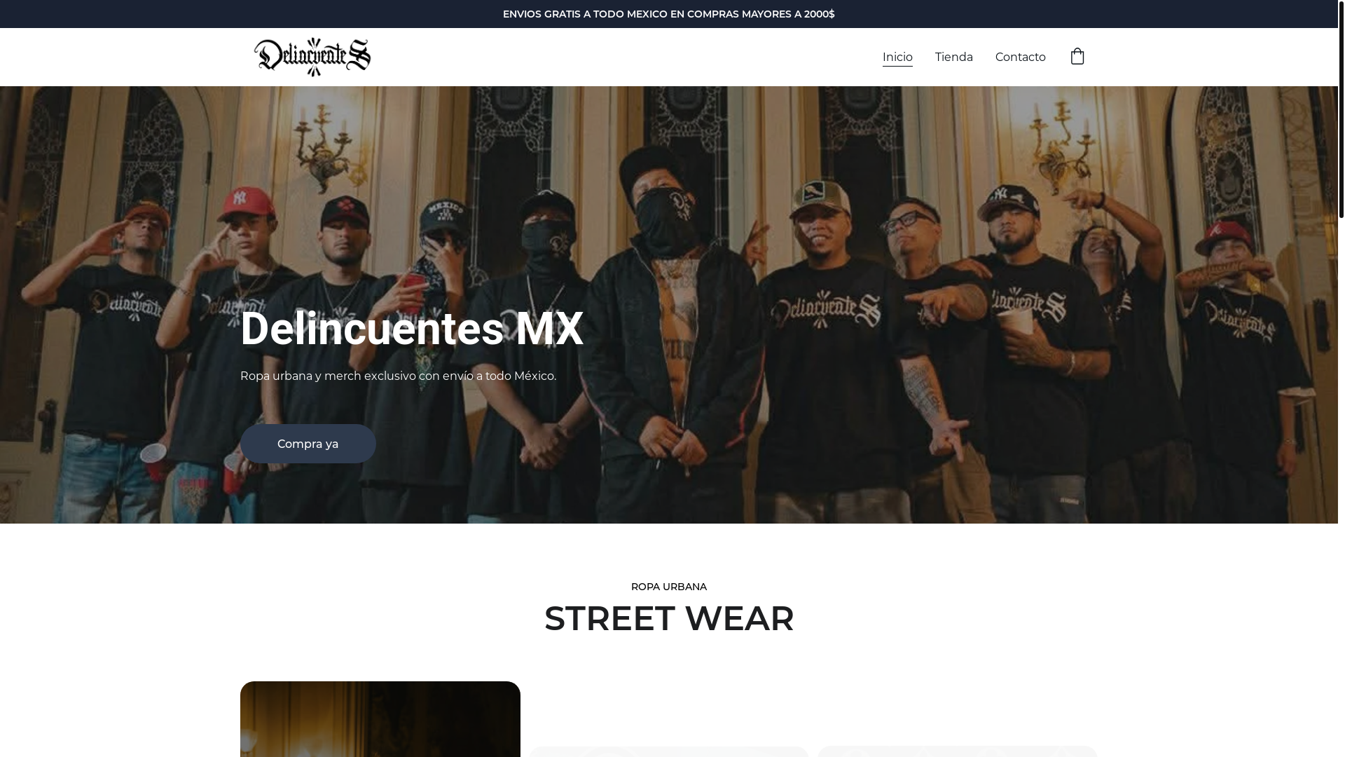 website screenshot of https://delincuentes.mx/