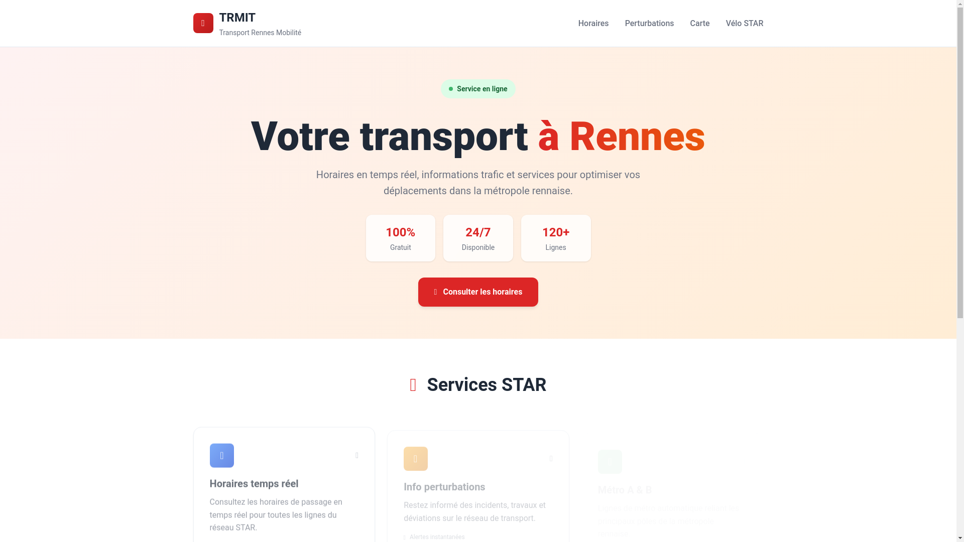 website screenshot of https://transportrem.fr/