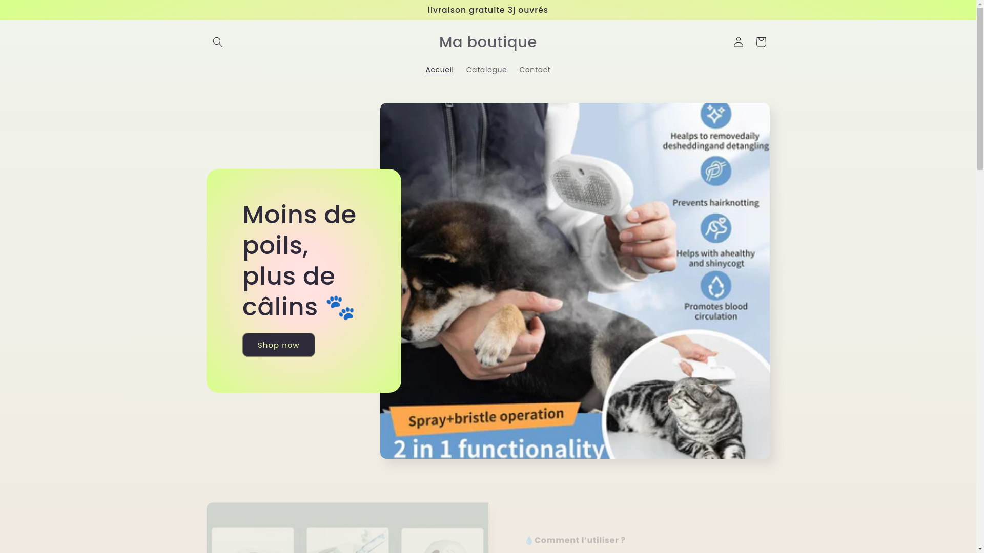 website screenshot of https://brushmood.fr/