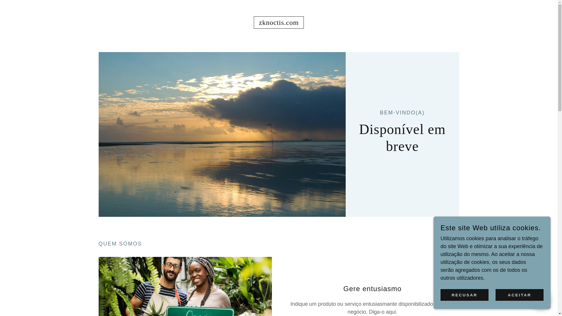 website screenshot of https://zknoctis.com/