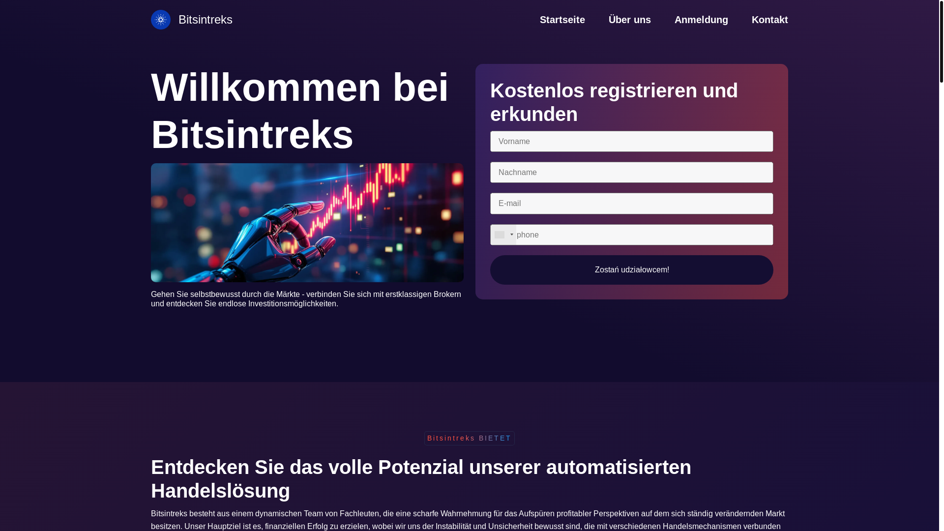 website screenshot of https://bitsintreks-pro.org/