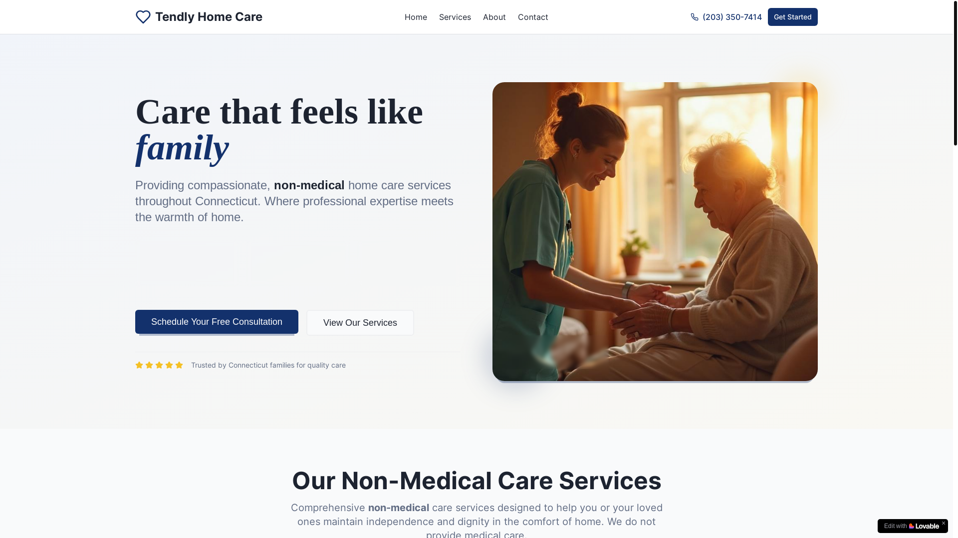 website screenshot of https://tendlyhomecare.com/