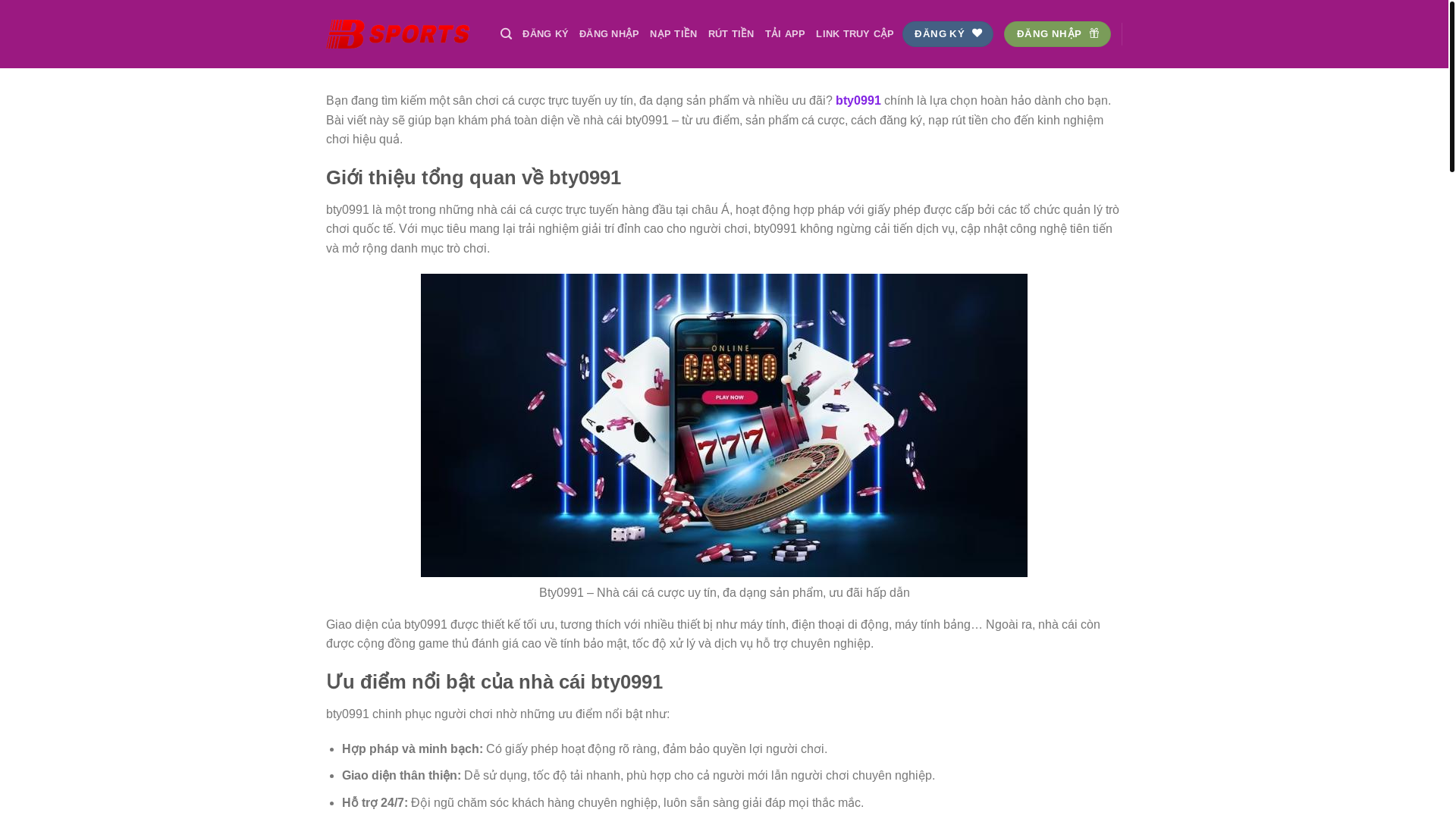website screenshot of https://bty0991.org/