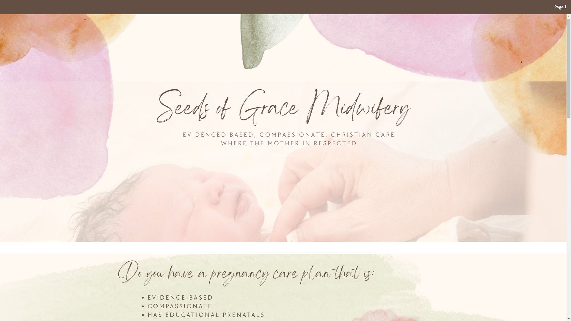 website screenshot of https://seedsofgracetxmidwife.com/
