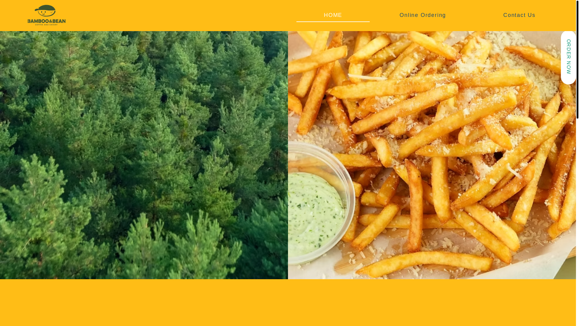 website screenshot of https://bambooandbean1.com/