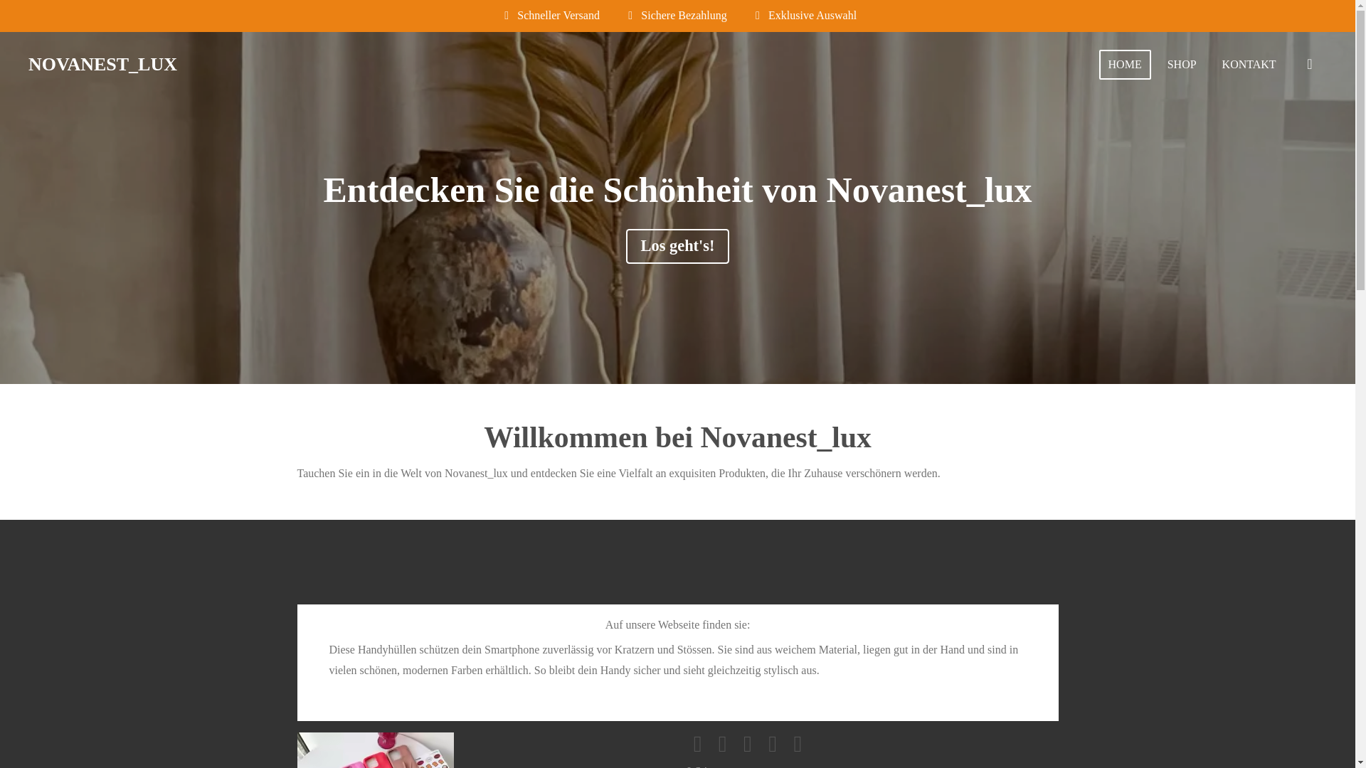 website screenshot of https://novanestlux.com/