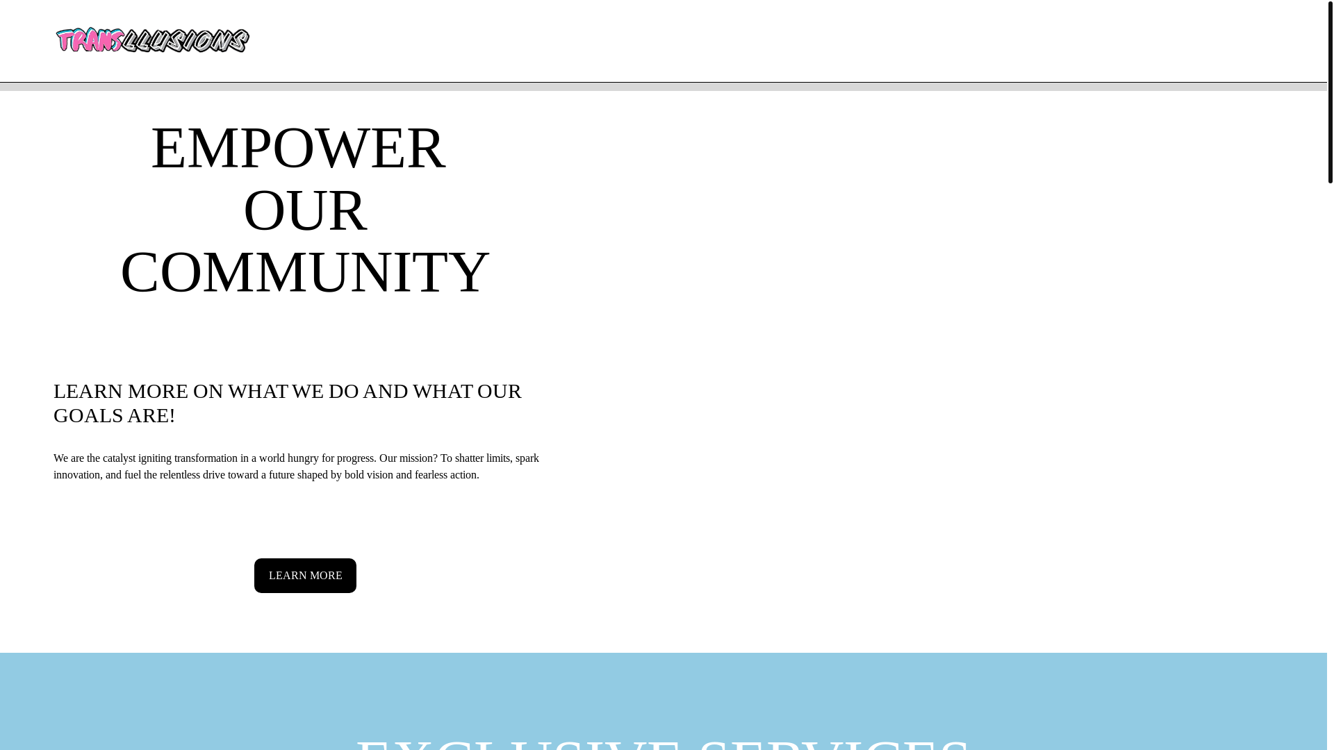 website screenshot of https://transllusions.org/