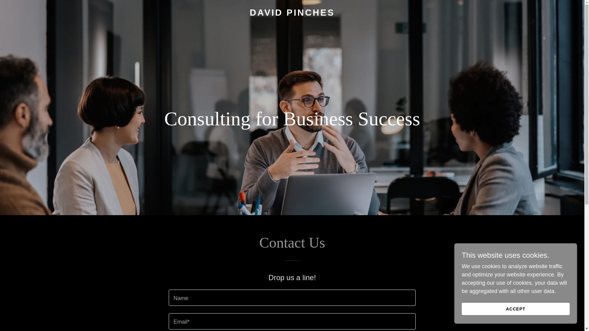 website screenshot of https://davidpinches.com/